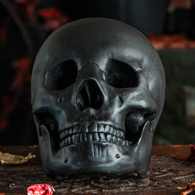 Black Skull for wholesale by Pacific Trading