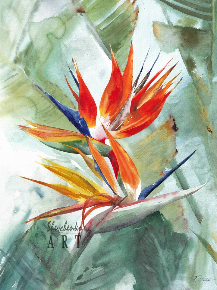 Bird of Paradise Tropical Floral Giclee Print for wholesale by Yuliasheart