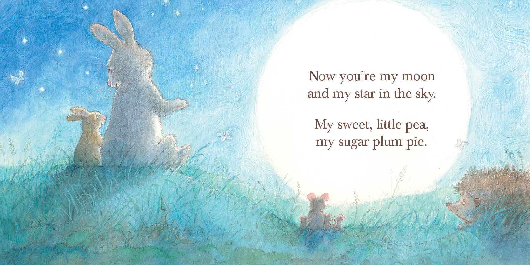 Sleeping Bear Press - Wholesale Baby & Toddler Book (0-2) - Grandma Loves You! Board Book2