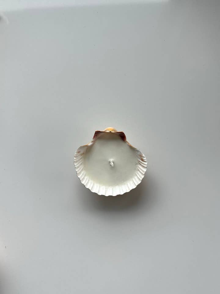 Mini Seashell kaars/sieradenschaal voor wholesale door Bum-Cake Vintage