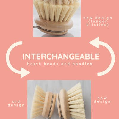 No Tox Life - Venta al por mayor Cepillos de limpieza - Cepillo para platos CASA AGAVE® con mango largo y cabezal reemplazable - No Tox Life1