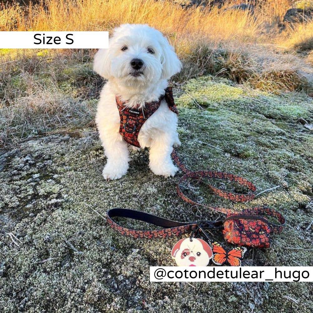 Trufois - Vente Harnais – chien - Harnais Sisu - Chute et Vol11