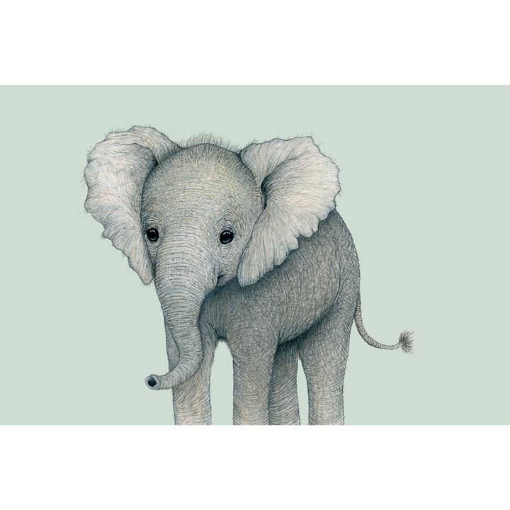 Studio Binck - Wholesale Art Print - Fine art print OLIVIER