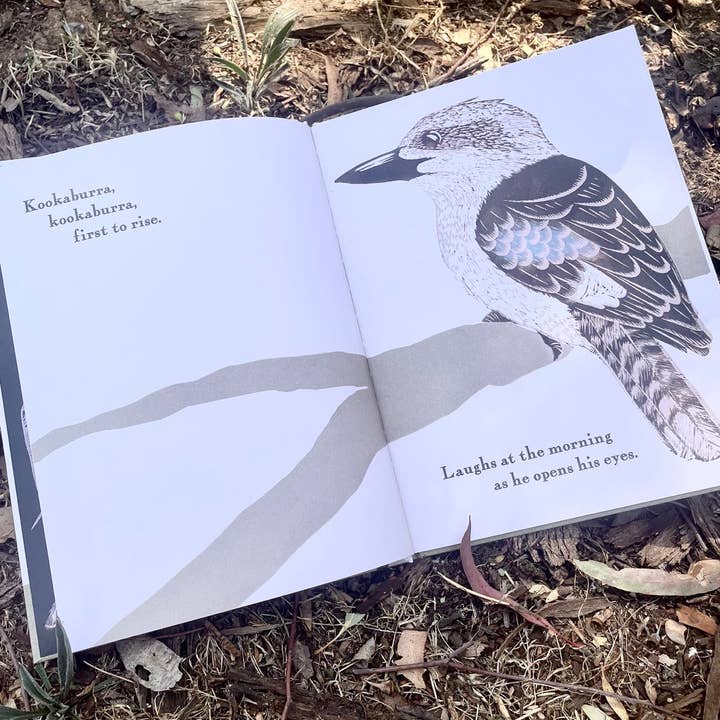 Bridget Farmer Printmaker - Wholesale Pre-school book (3–5) - Kookaburra Kookaburra - Children's Book22