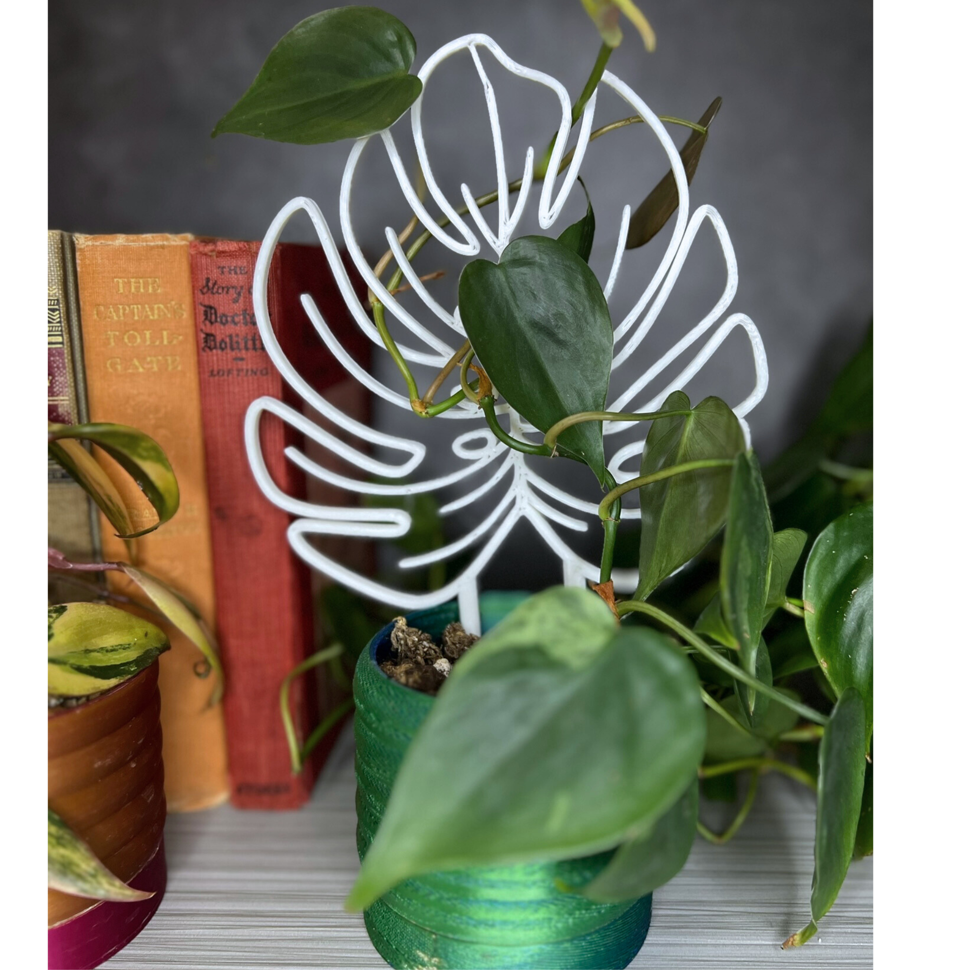 Floraform Creations - Wholesale Trellis - Small Monstera Leaf Houseplant Trellis3