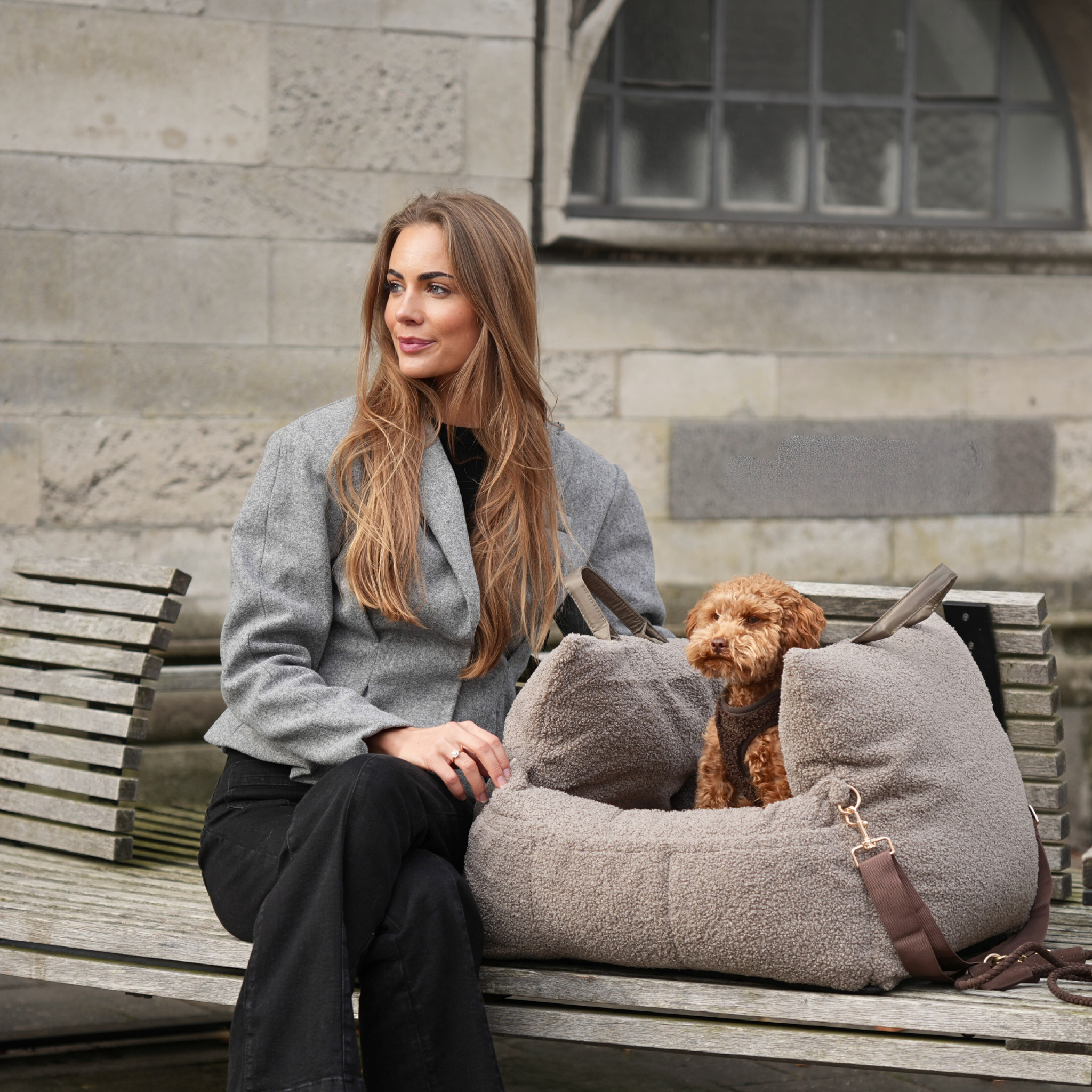 Staey - Wholesale Pet Carrier - Dog - Lara Car Seat | Teddy 2.010