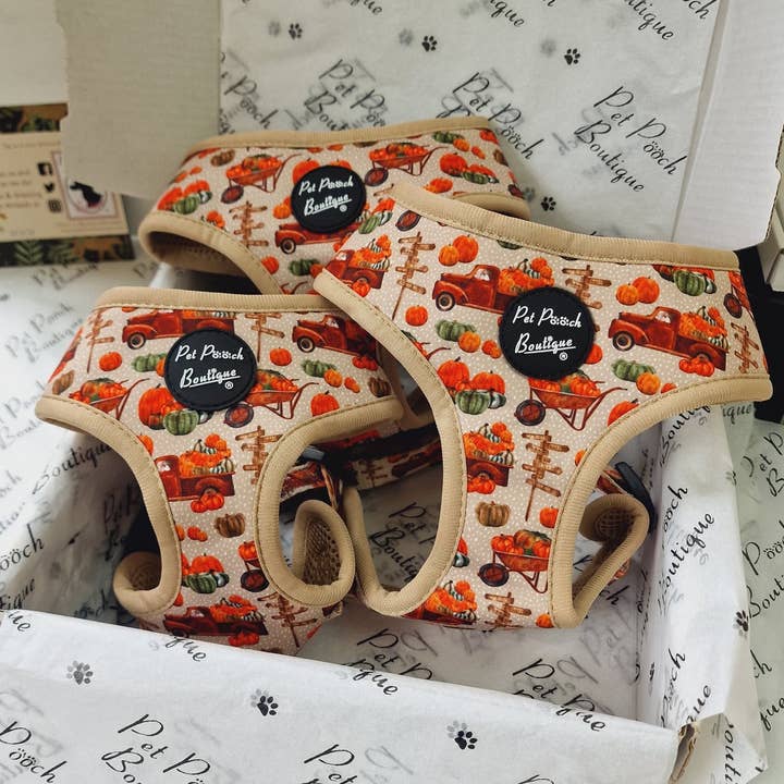 Pumpkin Patch Cart Puppy Dog Harness - XS - L (autumn/fall) for wholesale by Pet Pooch Boutique