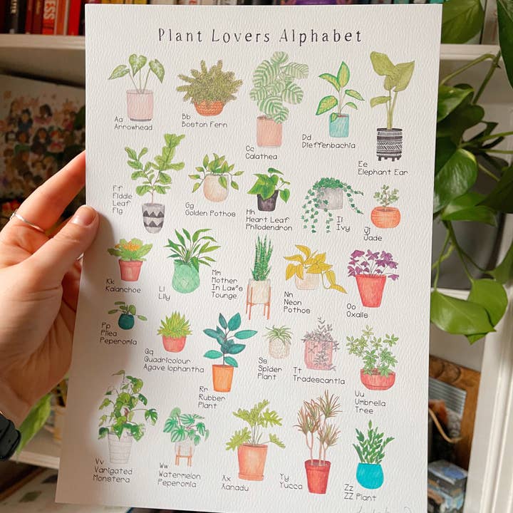 Stampa artistica con alfabeto vegetale per la vendita all'ingrosso da parte di The Curious Cactus