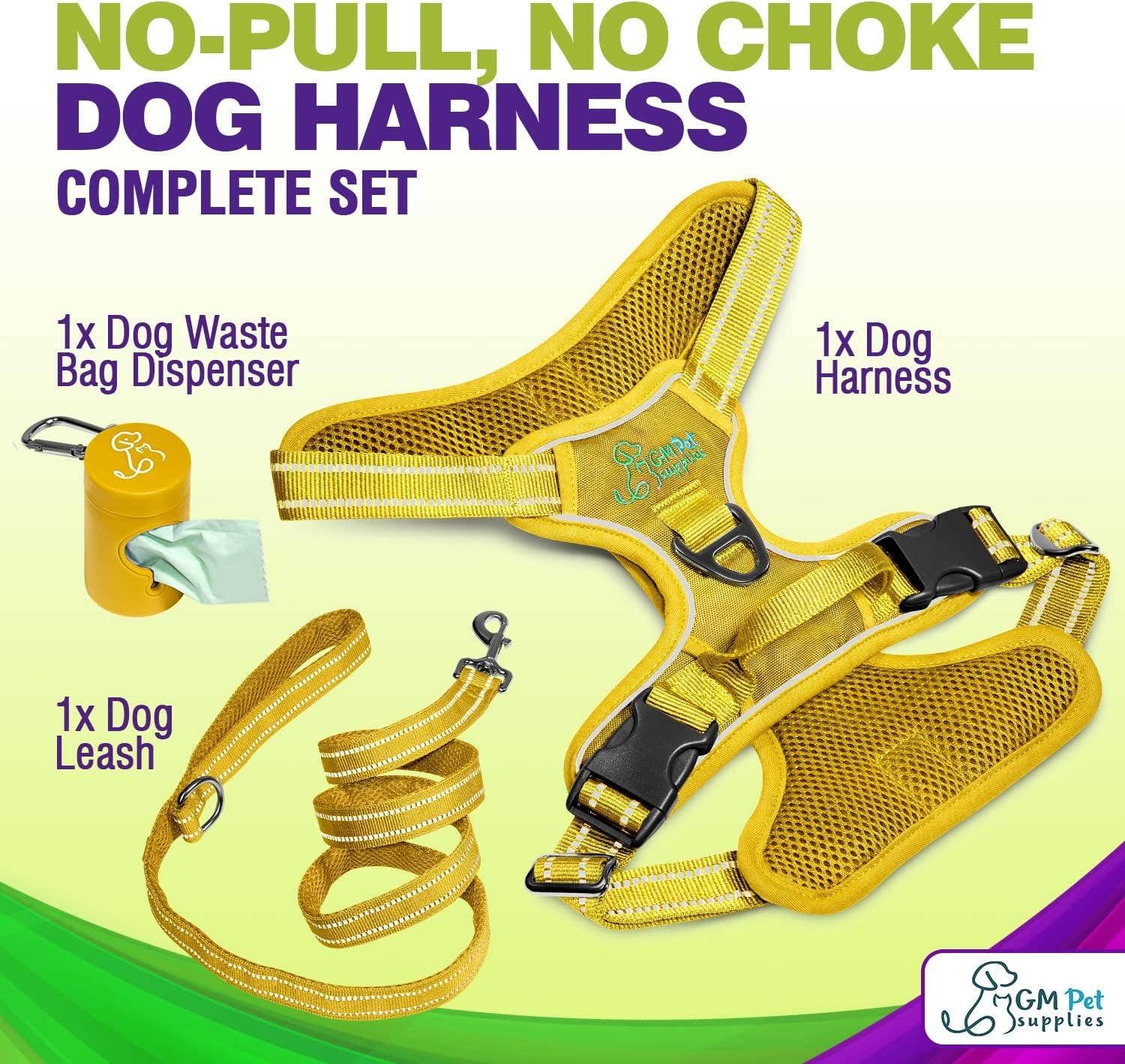Katziela - Wholesale Pet Harness - Dog - Dog Harness Walking kit and Leash Set19