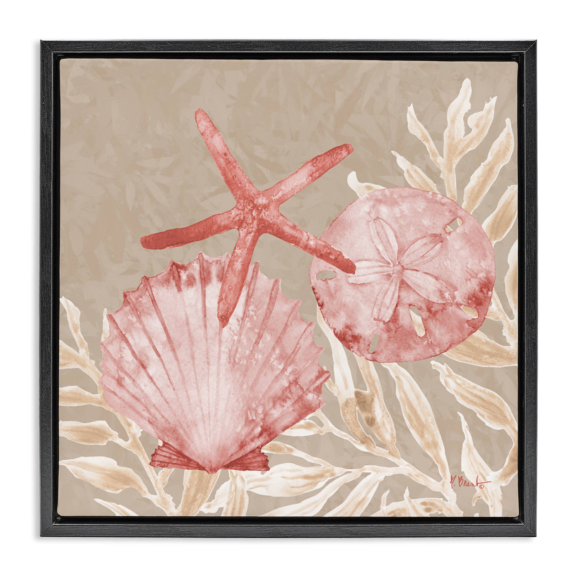 Stupell Industries - Vendita all'ingrosso Cartello da parete - Conchiglie di Tampico e Stelle Marine - Arte da Parete Incorniciata22