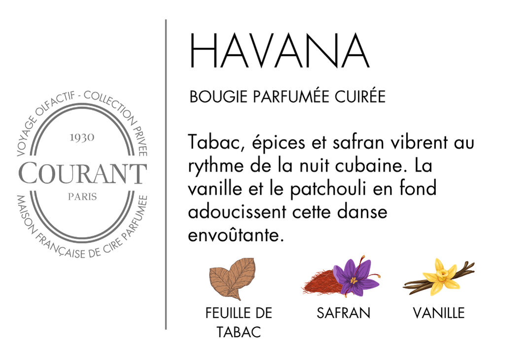 Sas Laurel Home - Courant Paris - Vendita all'ingrosso Candela in vasetto - HAVANA - Candela Profumata1