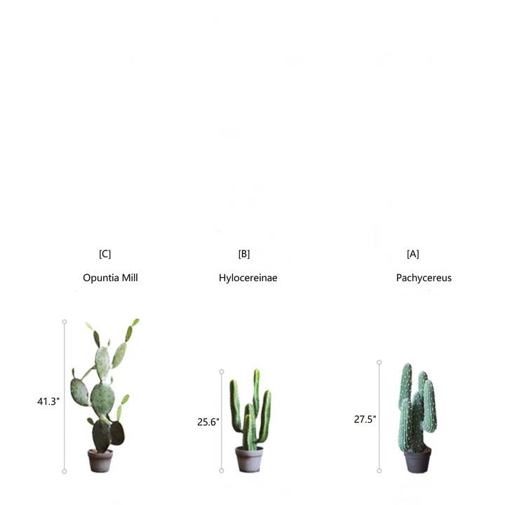 Rustic Reach - Wholesale Artificial Plant - Artificial Cactus in Pot Various Styles