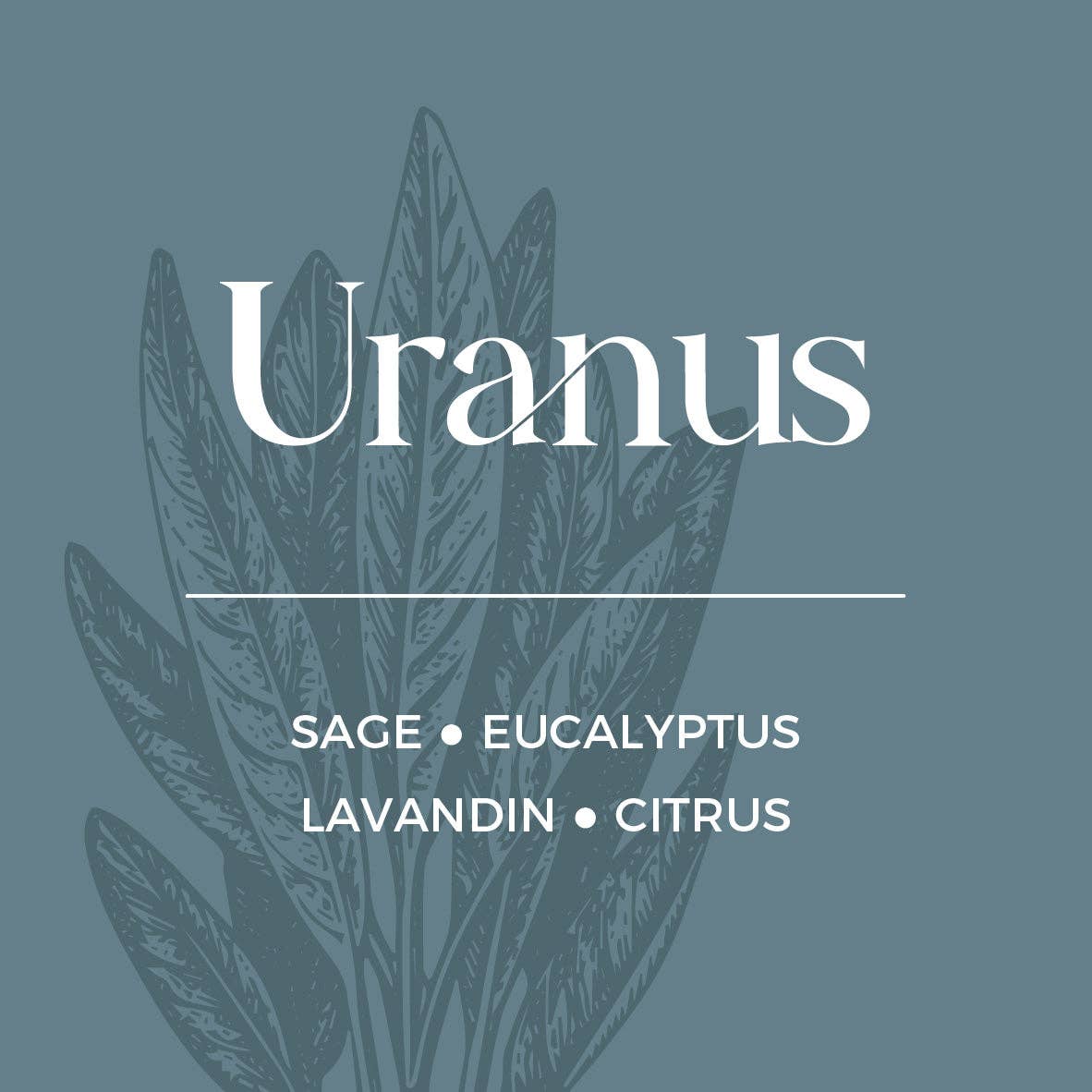 Lunaire - Wholesale Jar/Filled Candle - Glass Jar Candles12