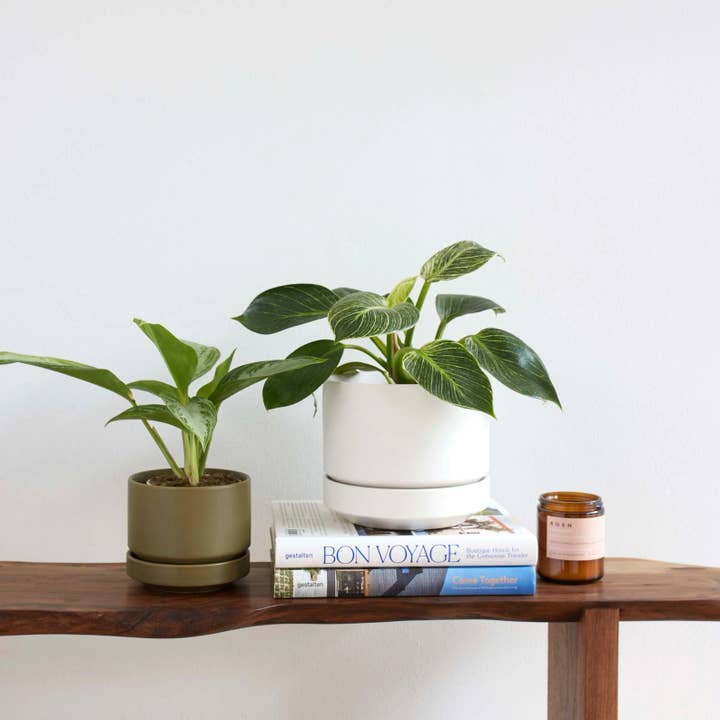 LBE Design - Wholesale Plant Pot Stand - Round Two Planter29