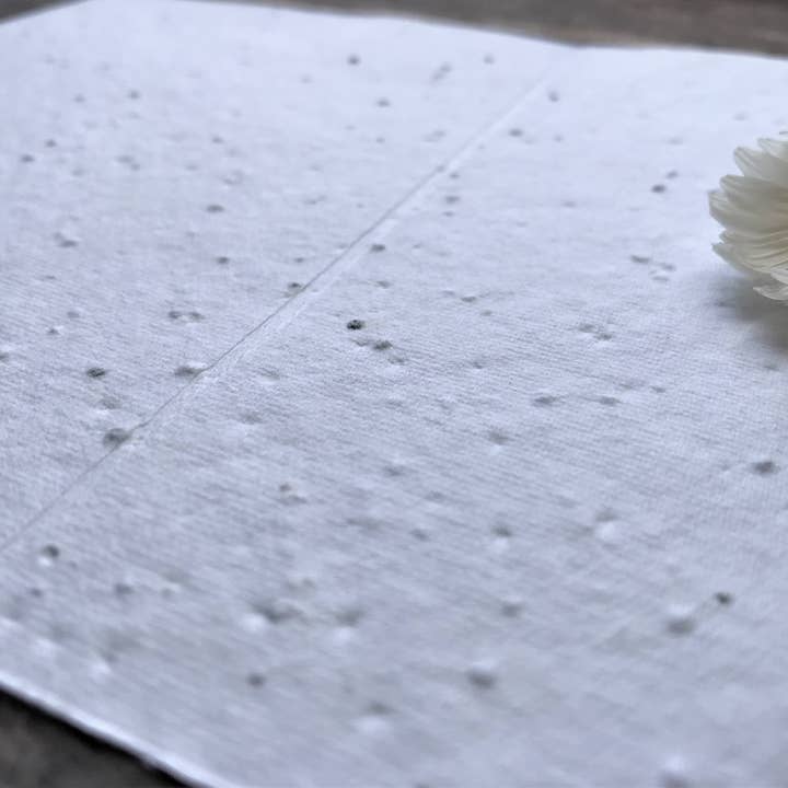 Erika's Whimsical Art – wholesale Birthday card – Plantable Seed Paper Birthday Card, Blank Inside6