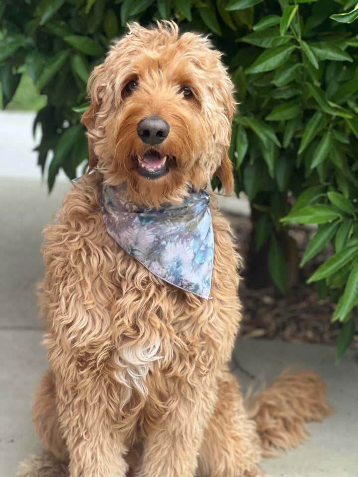 Tie Dye Dog Bandana In Carmel By The Sea Colorway for wholesale by Shanna's Tie Dye