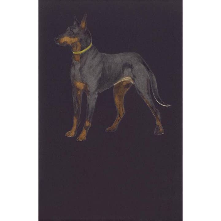 Found Image Press - Wholesale Stationery/Notecard Set - Greeting Card DG-209 Doberman Pinscher