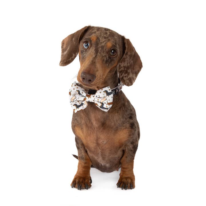 Big and Little Dogs - Wholesale Pet Bow Tie - Dog - DOG COLLAR & BOW TIE: Dashie Lovers
