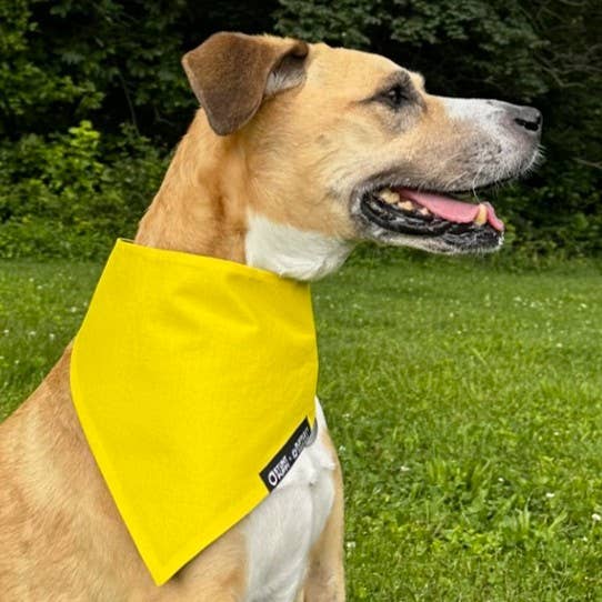 RUFFLECT Dog Bandanas - Wholesale Pet Bandana - Dog - Yellow RUFFLECT®/Stunt Puppy Dog Bandana0