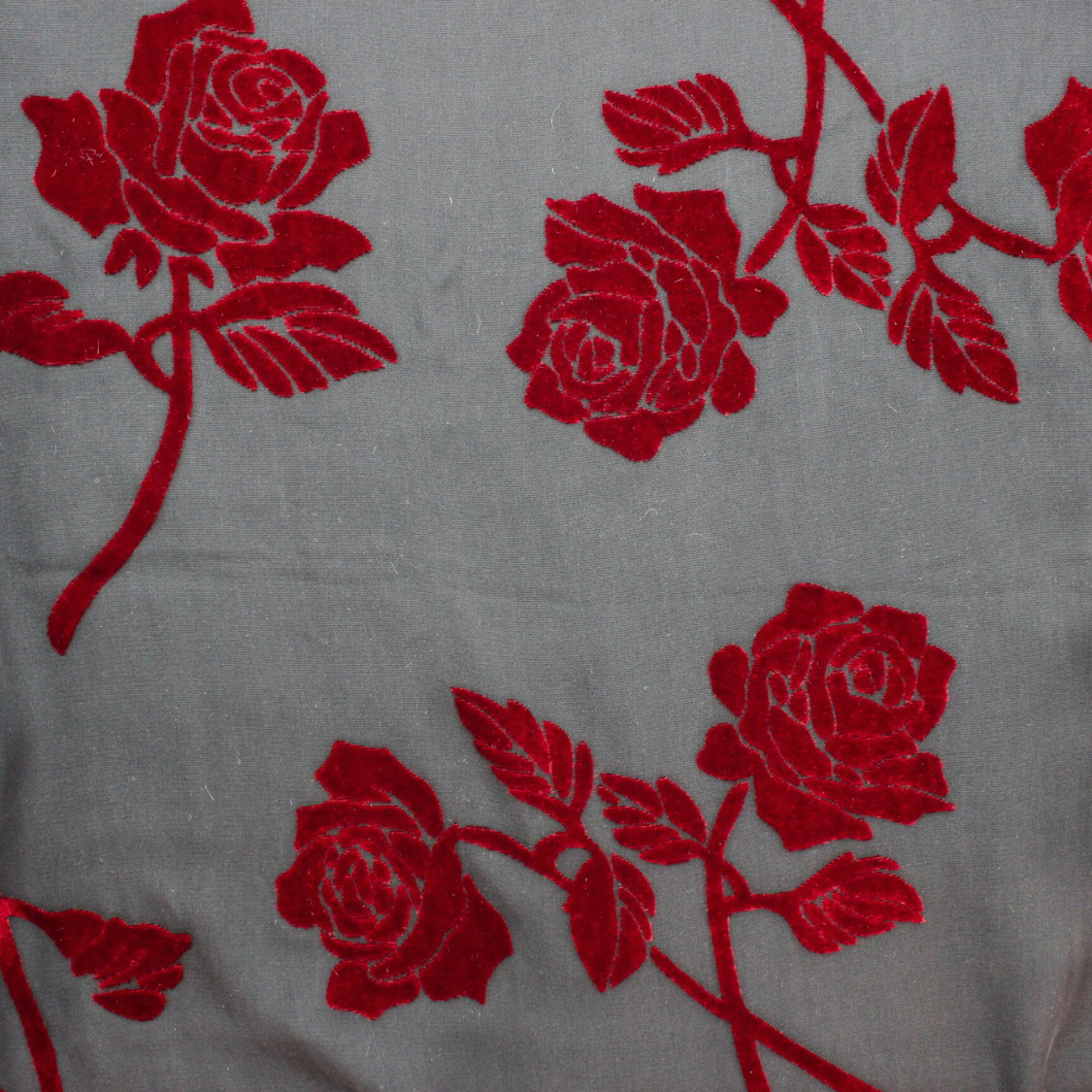 Dana Herbert – Großhandel Schultertuch – Damen – Burnout-Samt-Schal8