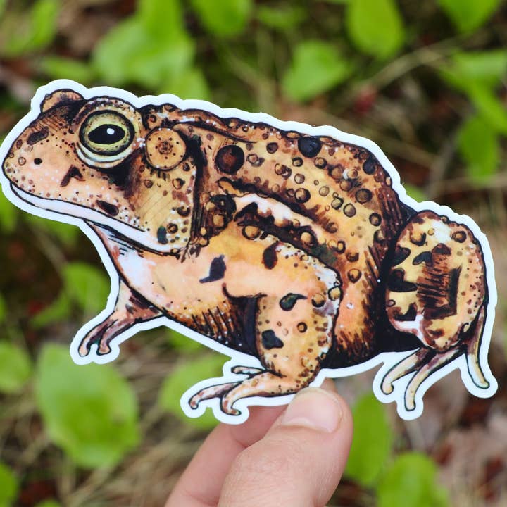 Toad Vinyl Sticker for wholesale by Gnome Studio
