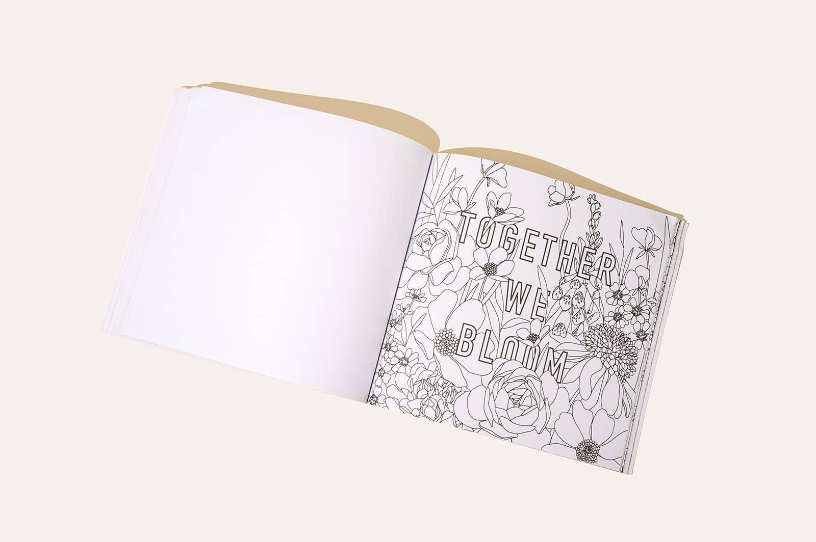 Paige Tate & Co. – wholesale Colouring and activity book – adult – Love in Bloom: A Romantic Adult Coloring Book 4