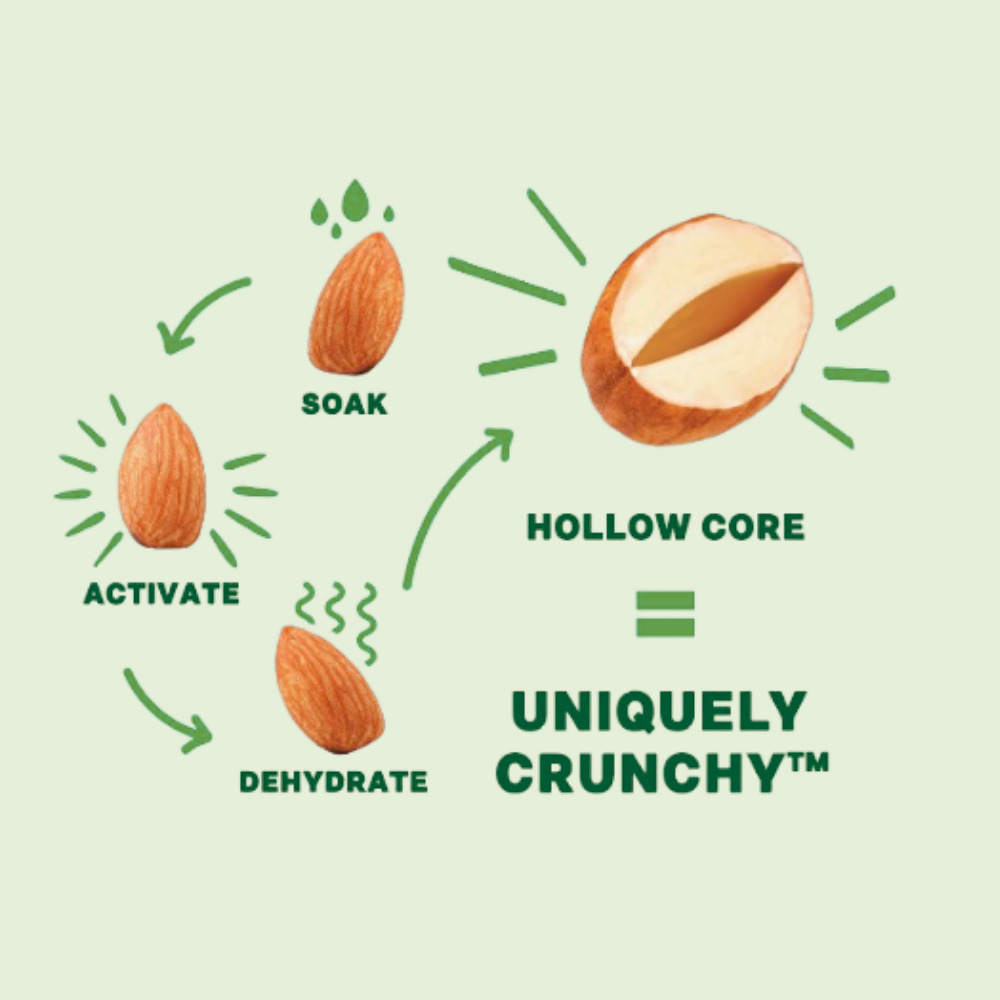 Daily Crunch - Wholesale Nuts - Dill Pickle + Pepitas Sprouted Almonds, 4oz Pantry Bag4
