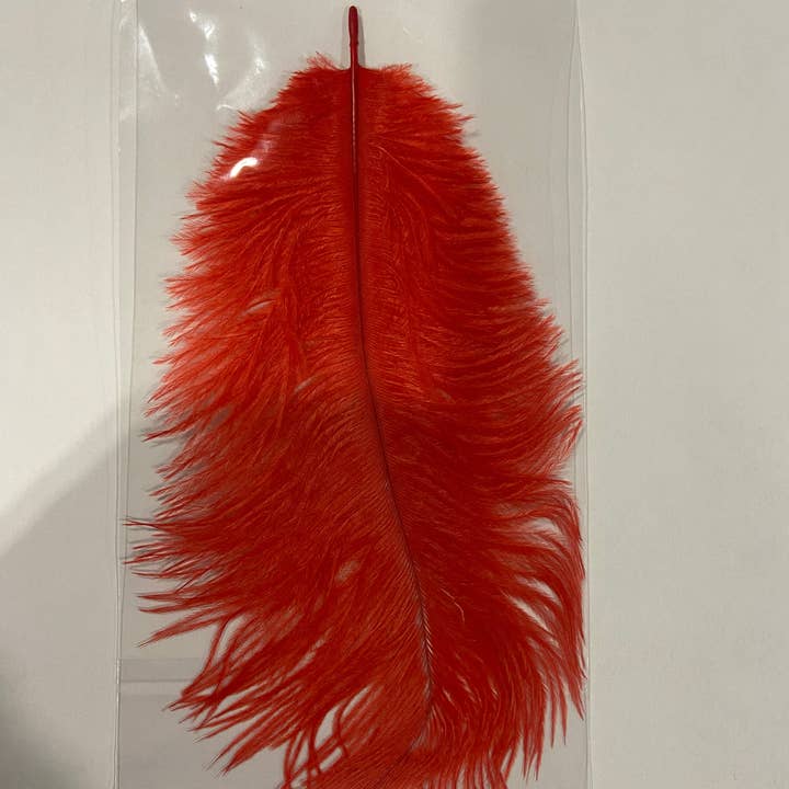 Kinky Pleasure - Venta al por mayor Juguetes eróticos - Power Escorts - BR321 Plumero de Plumas Rojas - BDSM - Bolsa Plástica con Colgador Euro1