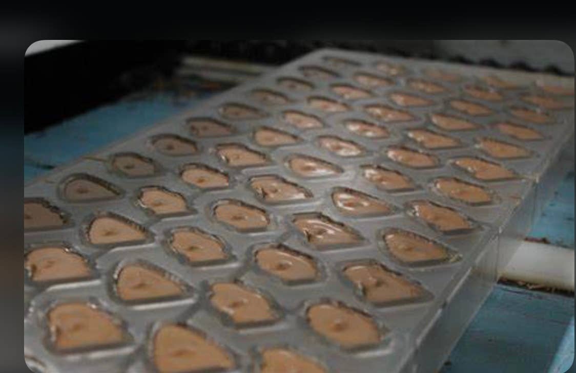 O'Shea's Candies Sweet Shop - Wholesale Chocolate - O’Novelty Milk Chocolate  Kitty Cat 🐈1