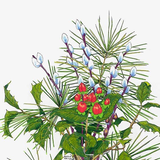 Vivid Cottage - Wholesale Season's Greetings Card - Gift Enclosure Card - Winter Pine Bouquet1