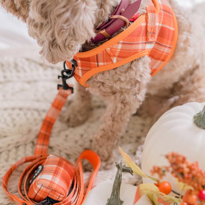 AFVALZAKHOUDER - ORANJE GERUITE Pumpkin Sp voor wholesale door Cavology