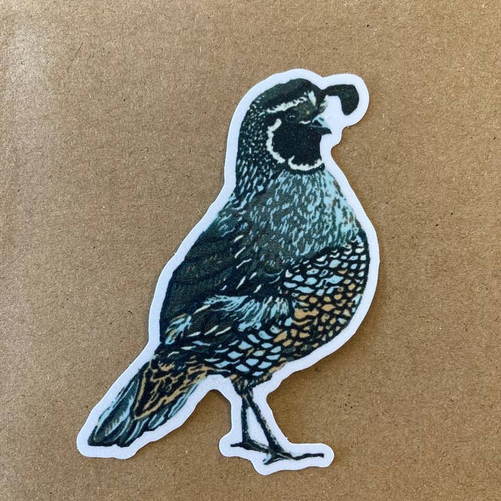 Ecofriendly sticker: California quail for wholesale by Sarah Drummond Art