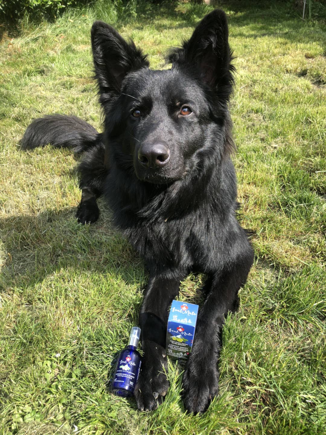 PerAnimal - Wholesale Pet Spray - Cat/Dog - SoulMate No.1 - Relaxation and Calming Spray1