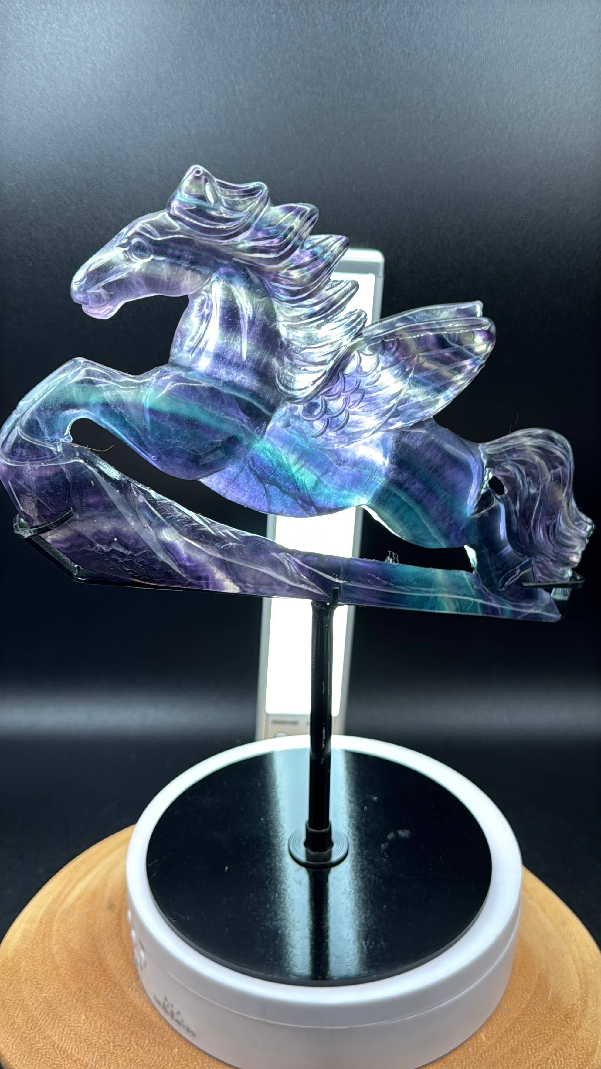 The 7 Directions - Wholesale Spiritual Stone/Crystal - Exquisite Rainbow fluorite Flying horse Pegasus H2087