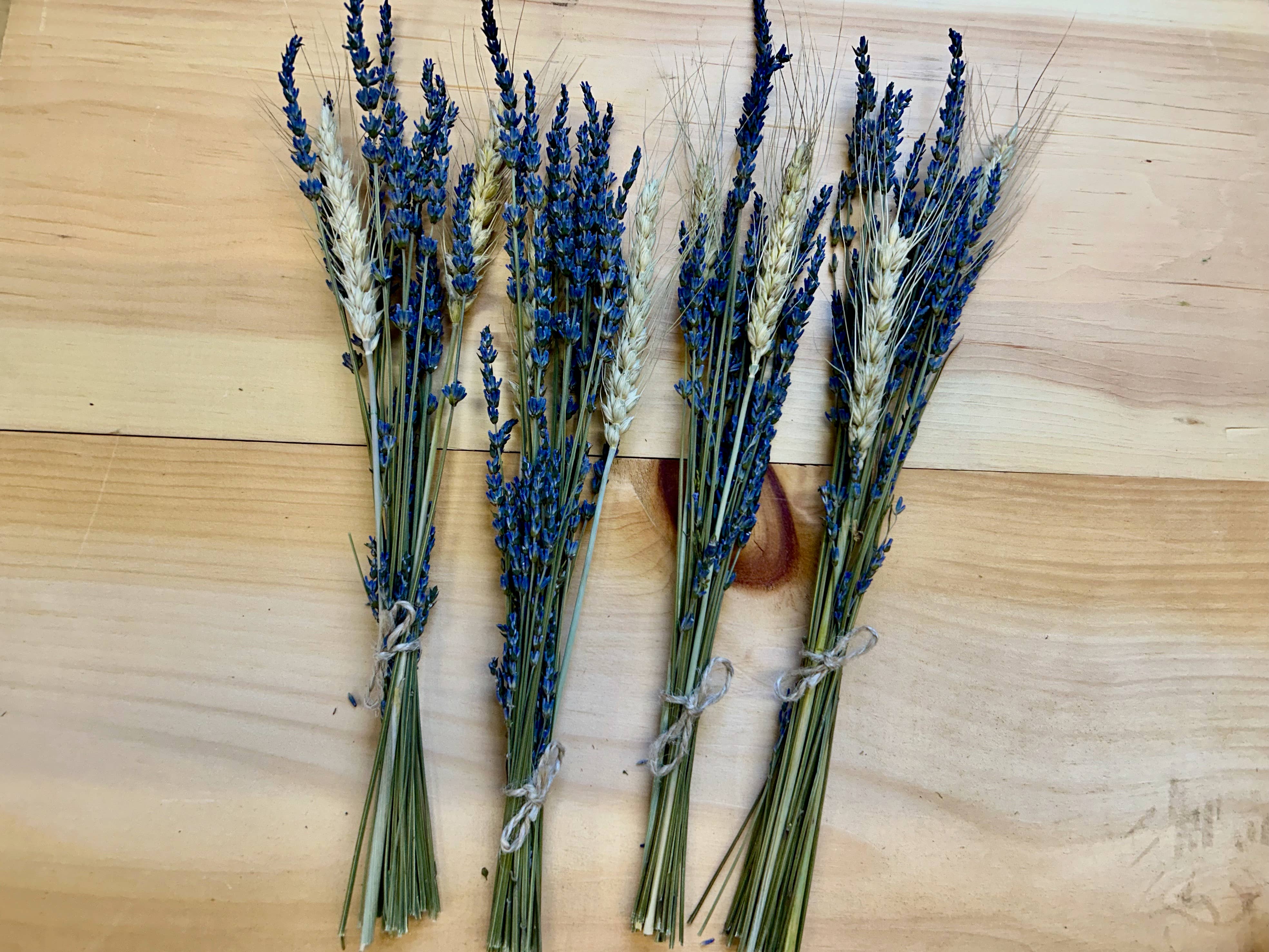 Lavender Creek Farm - Wholesale Dried/Pressed Flowers - Dried Lavender Mini-Bunches0