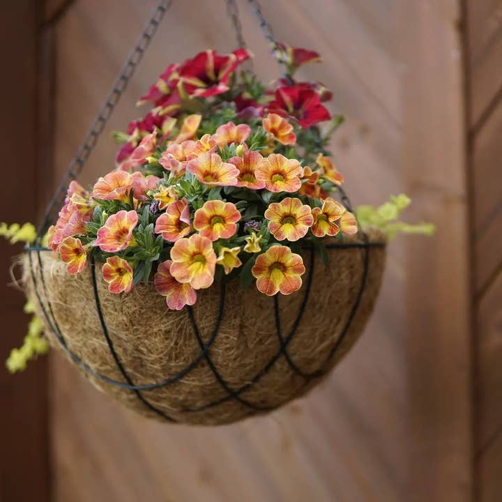 CoirProducts.co.uk of Salike Limited - Wholesale Hanging Planter - Coco liners | natural, 100% biodegradable coir liners