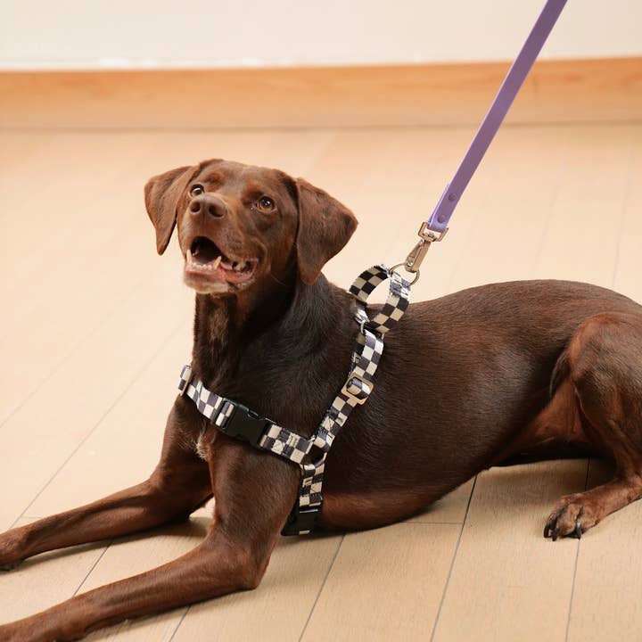 Approved by Fritz - USA - Wholesale Pet Harness - Dog - The Fritz Dog Harness | Adjustable, No-Pull & Reversible3