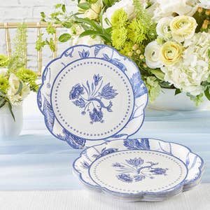 Purchase Wholesale paper plates and napkins. Free Returns Net 60