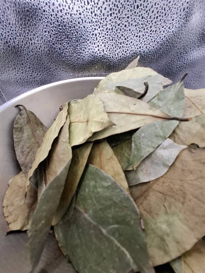 Premium Soursop-Graviola Blad Hela för wholesale av CADUCEUS kruidenapotheek