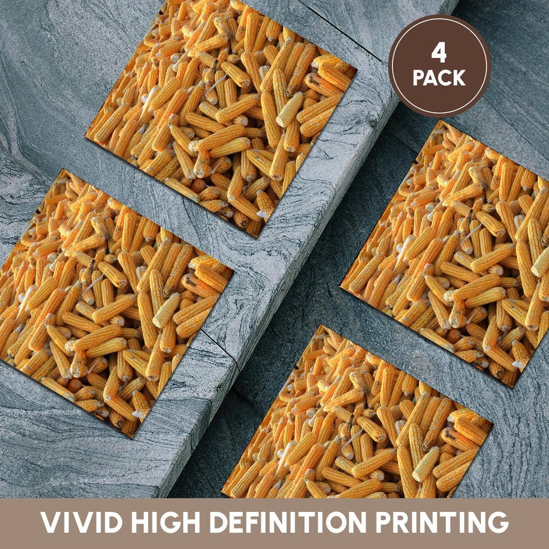 3dRose – wholesale Coasters – 3dRose, Raw Organic Husked Sweetcorn Seed Drying In The Sun, Coaster5