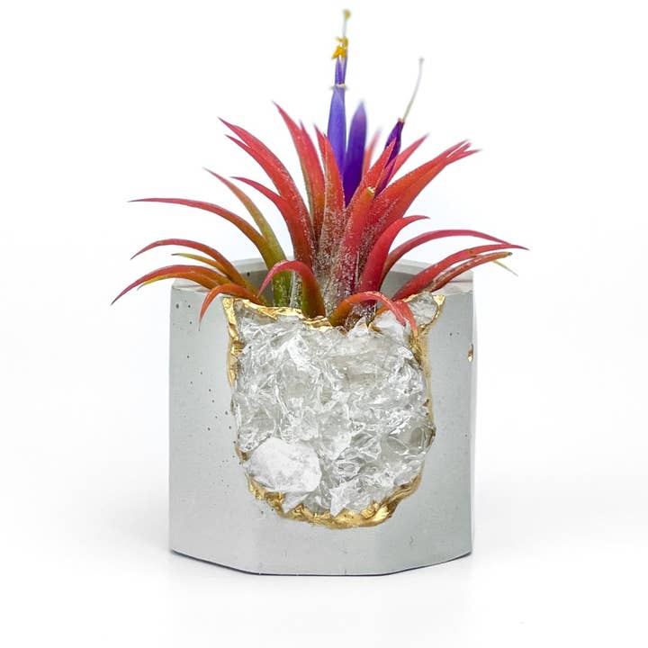 AURA 8 Art Boutique – wholesale Plant pot – Raw Clear Quartz Geode Planter, Crystal Planter Pot