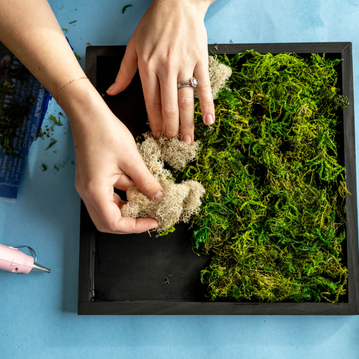 Adults & Crafts - Wholesale Doe-het-zelf-knutselset - Mosswand Doe-Het-Zelf Knutselpakket6