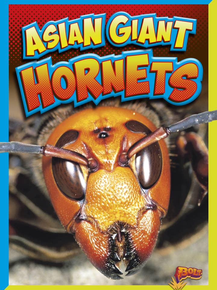 Gevaarlijke insecten: Aziatische reuzenhorzels voor wholesale door Black Rabbit Books