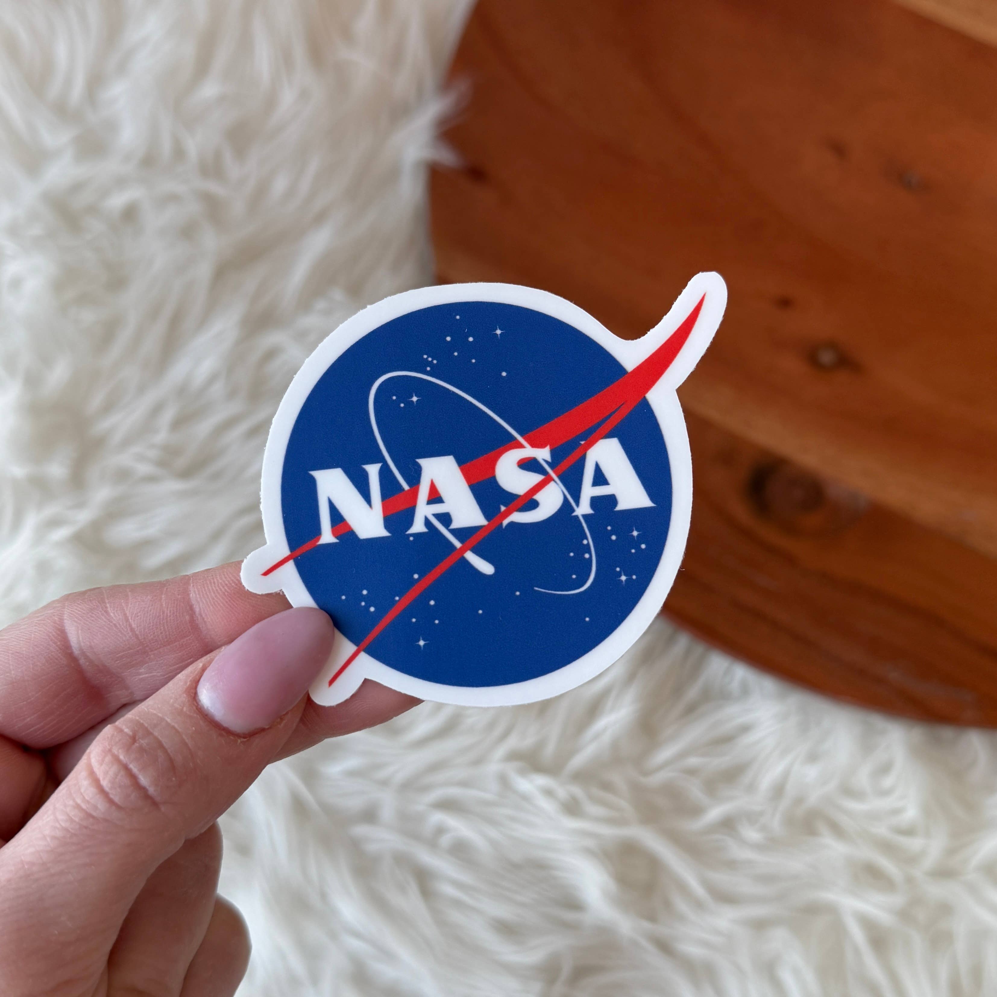 Big Moods - Wholesale Sticker - NASA Logo Sticker