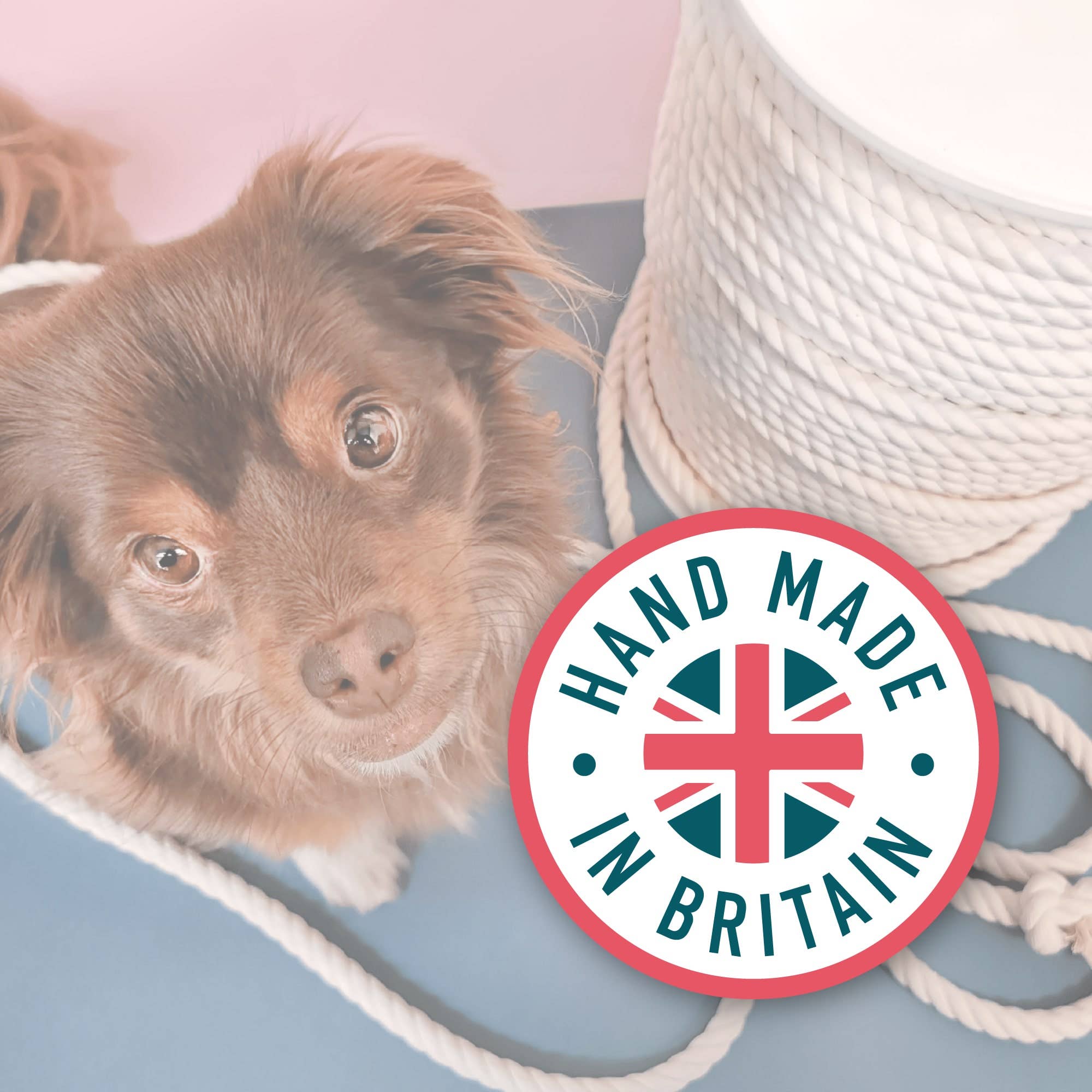 Goodchap's – wholesale Card game – Tricks & Trivia | Dog Card Game | Puppy Training Quiz3