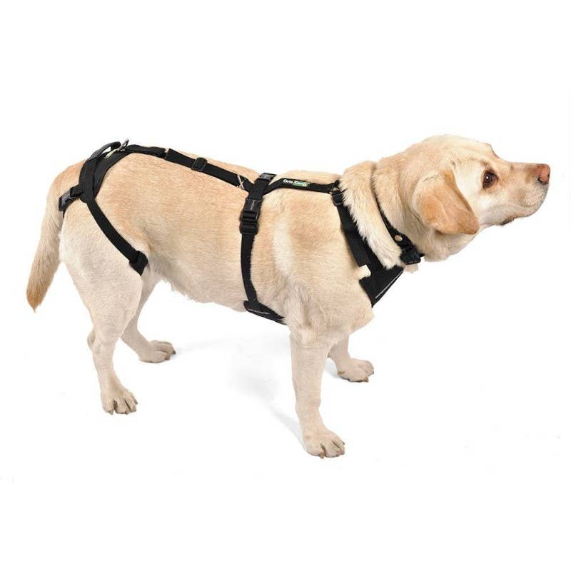 Ortocanis – wholesale Pet harness – Dog – Ortocanis Full Body Dog Harness3