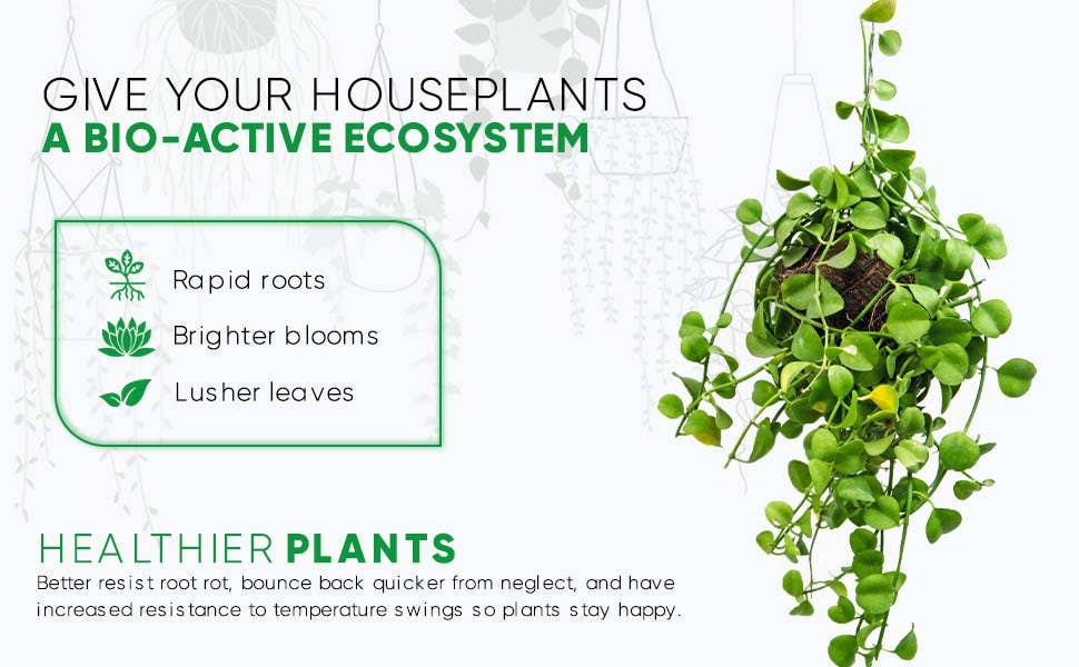 Noot, Inc. - Wholesale Fertilizer - Noot Indoor Houseplant Liquid Organic Plant Food Fertilizer6