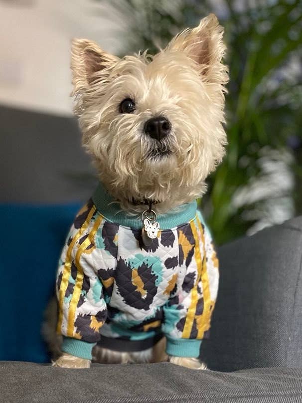 Neve Trackie Top for wholesale by Bark Art Ltd