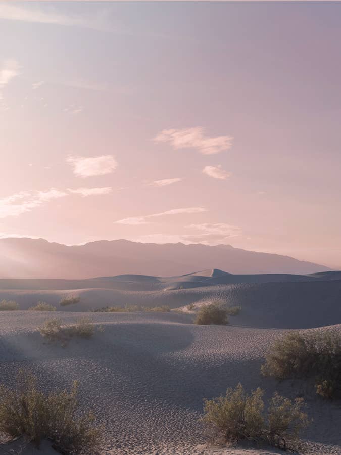 Cópia do Vale da Morte n.º 14 por atacado de Wilder California