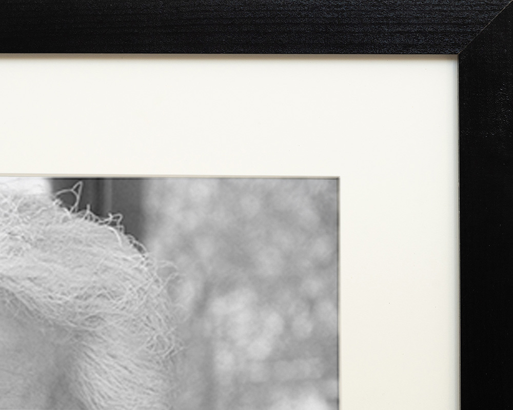 Black Karl Lagerfeld image. Wall art print with frame. for wholesale on Faire3